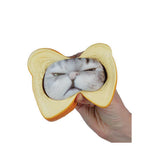 Pure Bread Pets Squishies- Fidget Toy