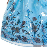 Cinderella Deluxe Girl Costume