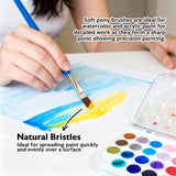 🎨 BAZIC Natural Hair Flat Paint Brush Set – 5 Piece Assorted Sizes