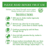 Metallic Outline Paint Markers Set of 6 By Crayola