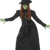Wicked Witch Costume – Adult