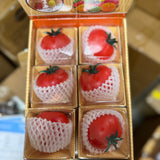 Fresh Fruit Tomato Sugar Squish – Realistic Fruit Carton
