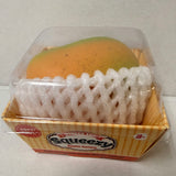 Fresh Fruit Mango Sugar Squish – Realistic Fruit Carton