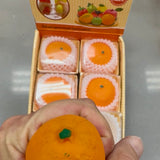 Fresh Fruit Orange Sugar Squish – Realistic Fruit Carton