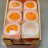 Fresh Fruit Orange Sugar Squish – Realistic Fruit Carton