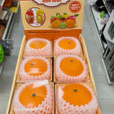 Fresh Fruit Orange Sugar Squish – Realistic Fruit Carton