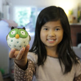 Owl Needle Felting Activity Kit