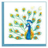 Peacock Feather Display Greeting Card by Quilling Card