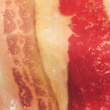 Bacon Slice Costume - Adult