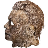 Halloween Ends Michael Myers Adult Latex Mask by Trick or Treat Studios