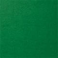 Tissue Paper – Apple Green (24 Large Sheets)