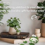 Frog Needle Felting Activity Kit