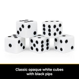 Black and White Dice, 5-Count Set By Spin Master Games